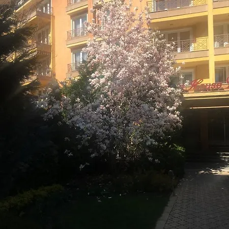 Apartment Alex *